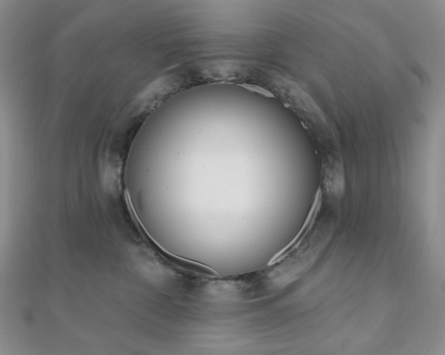X0000110740332200906151109