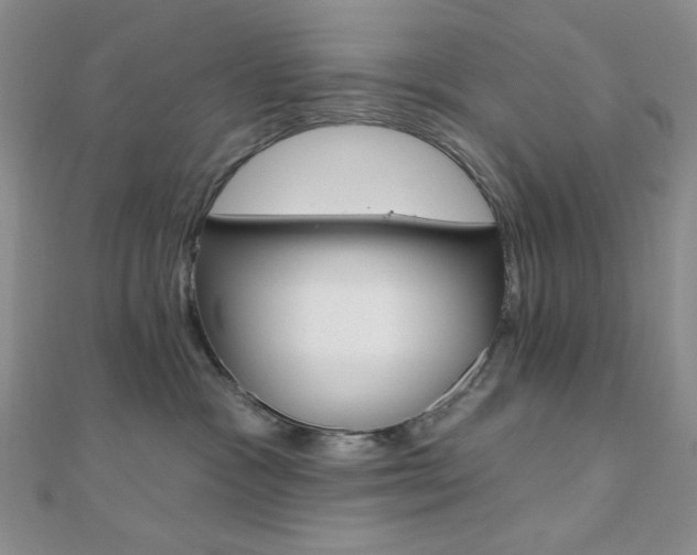 X0000110740333200906151109