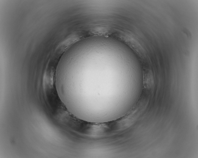 X0000110740334200906151109
