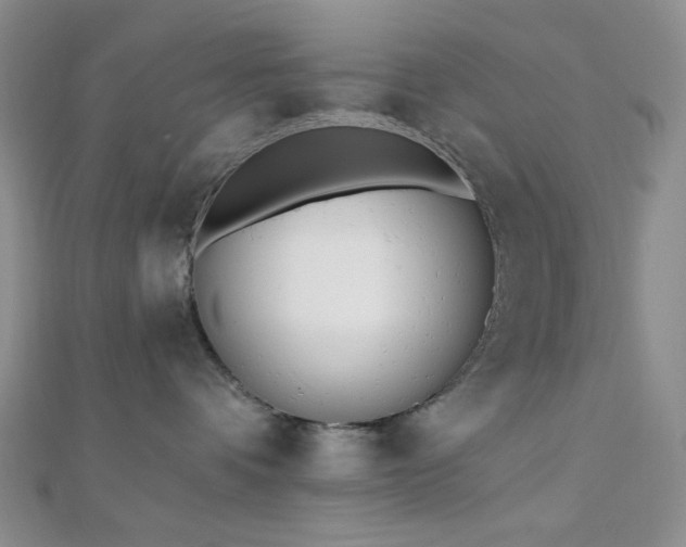 X0000110740336200906151109