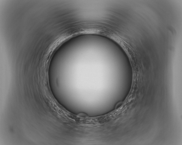 X0000110740337200906151108