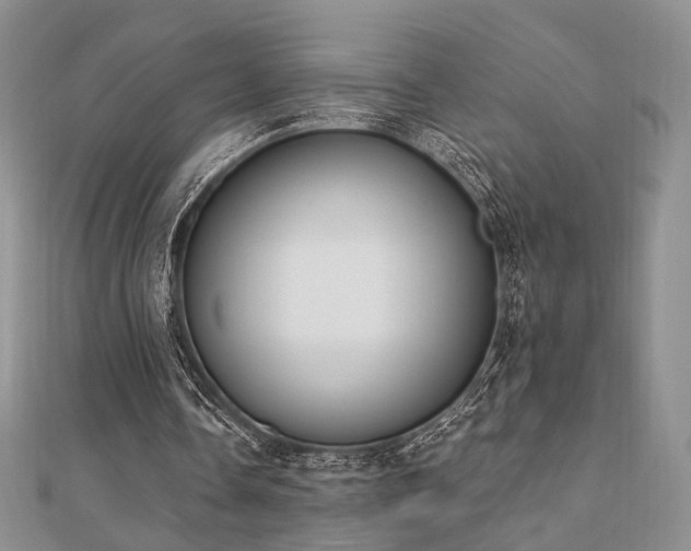 X0000110740338200906151108