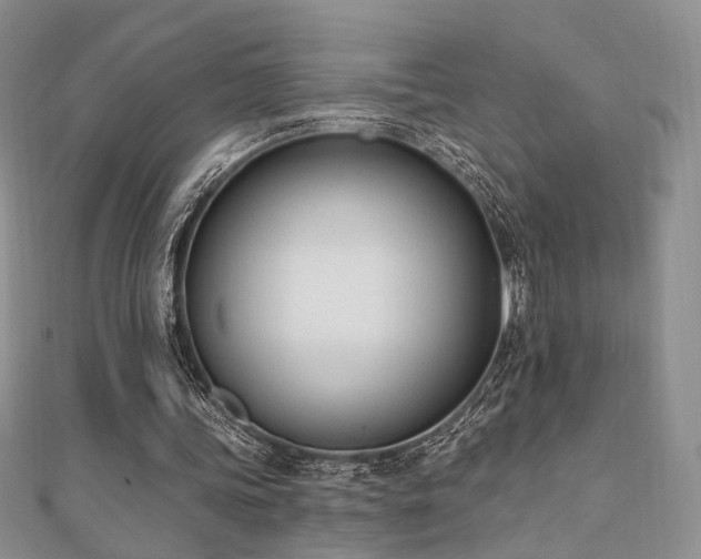 X0000110740339200906151108
