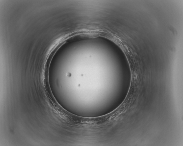 X0000110740340200906151108