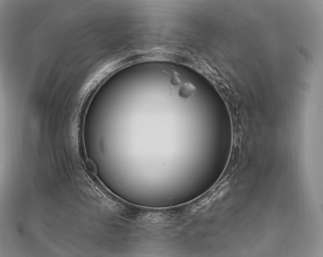 X0000110740341200906151108