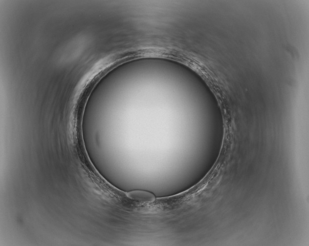 X0000110740343200906151108