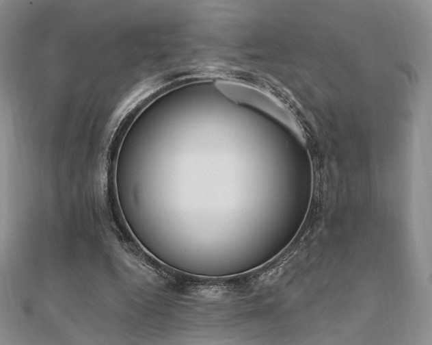 X0000110740344200906151108