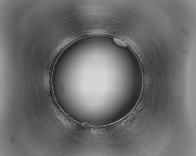 X0000110740345200906151108