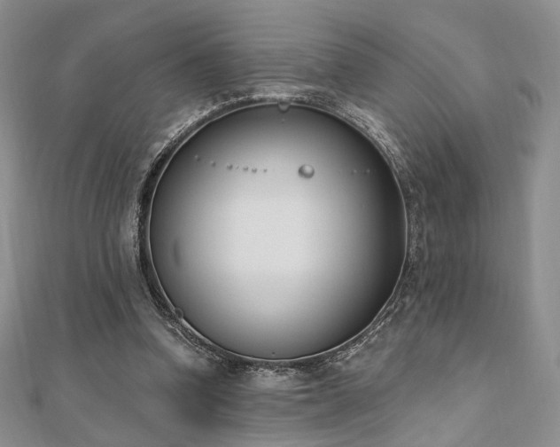 X0000110740346200906151108