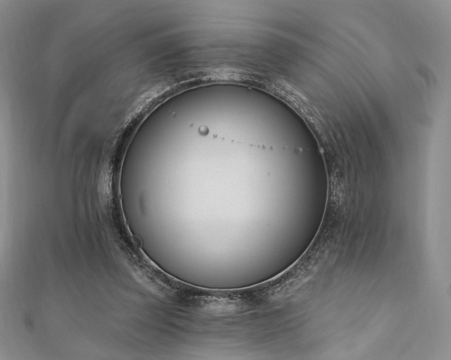 X0000110740347200906151108