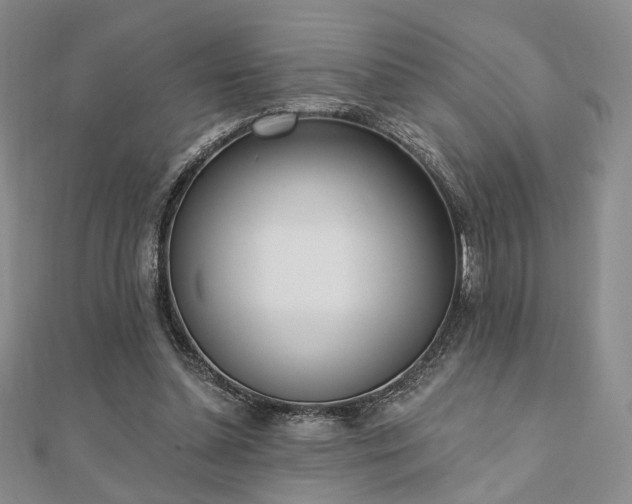 X0000110740348200906151108