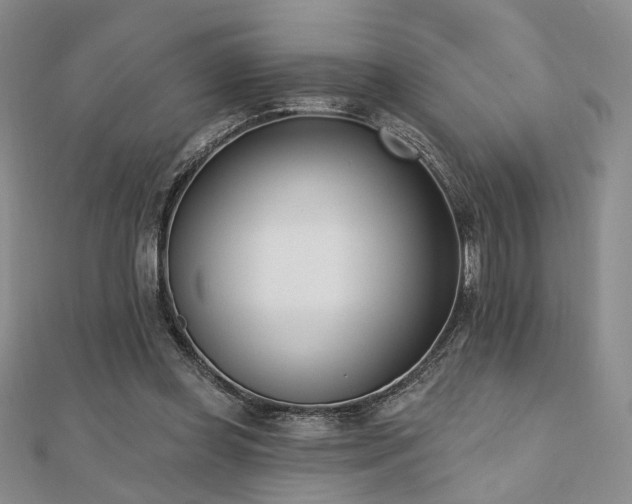X0000110740349200906151108