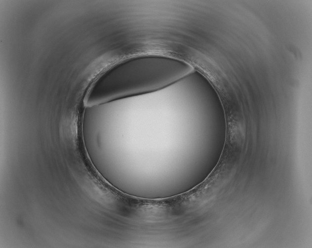 X0000110740350200906151108