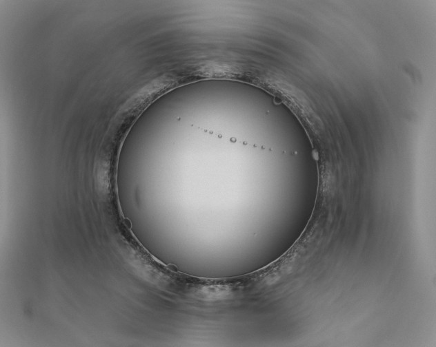 X0000110740353200906151108