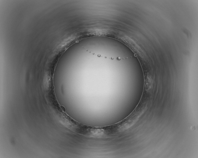 X0000110740355200906151108