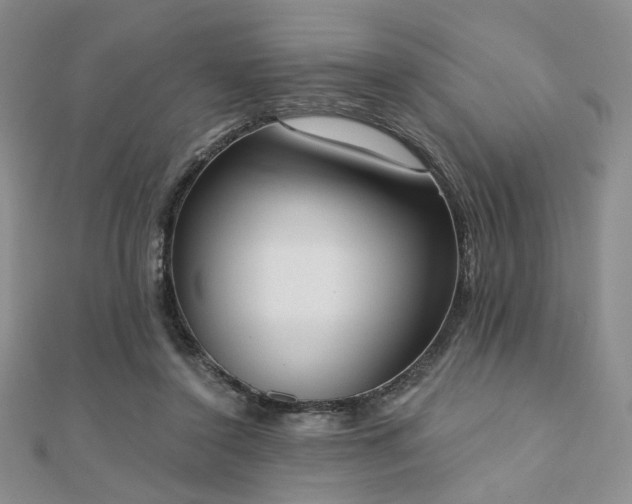 X0000110740356200906151108
