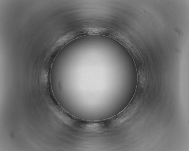 X0000110740357200906151108