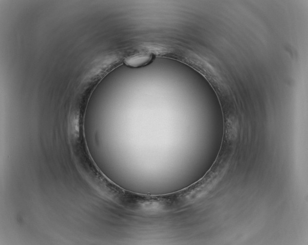 X0000110740358200906151108