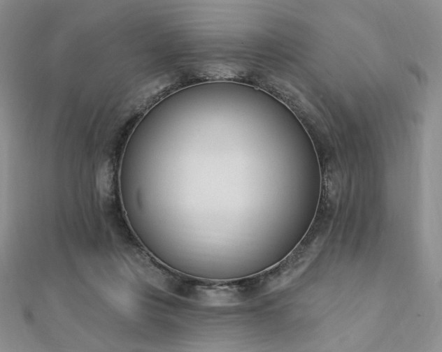 X0000110740359200906151108