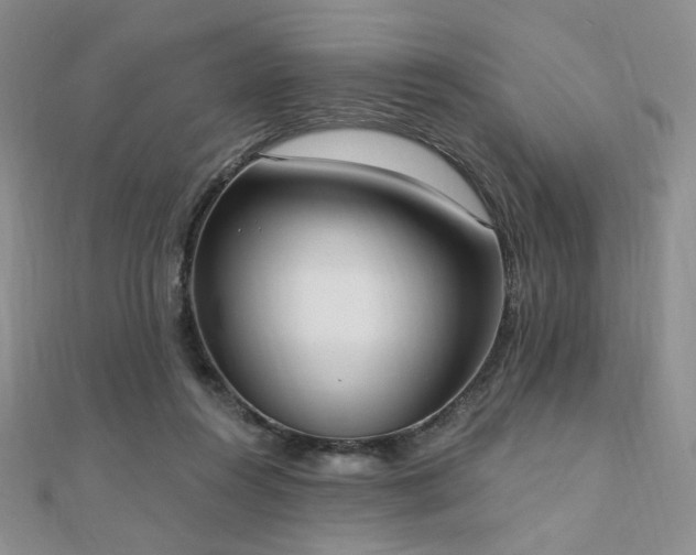 X0000110740360200906151108