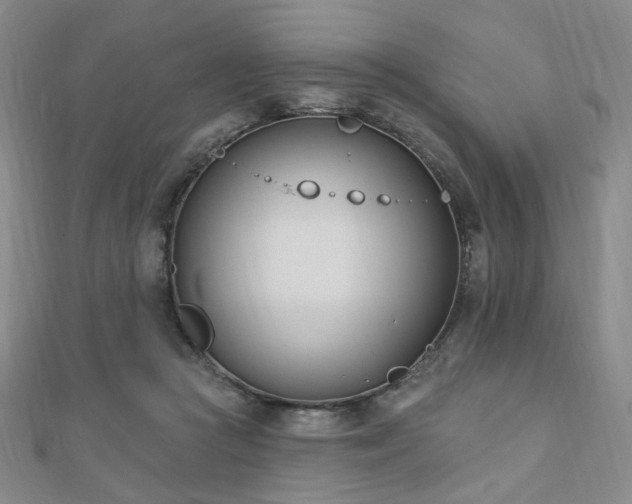 X0000110740361200906151108