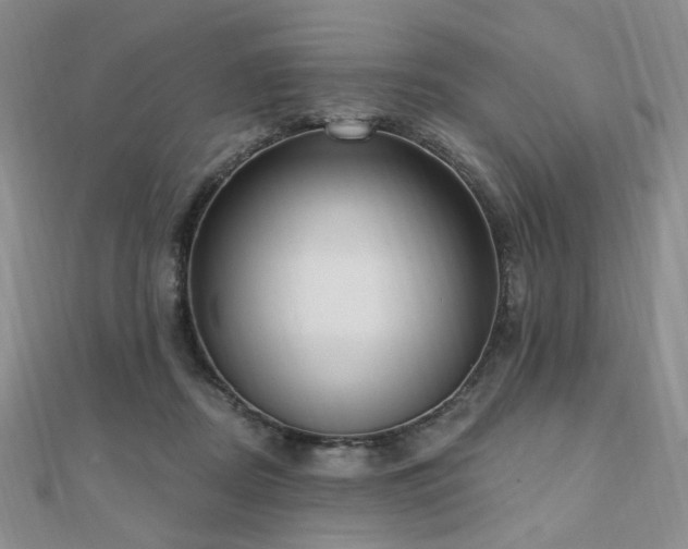 X0000110740362200906151108