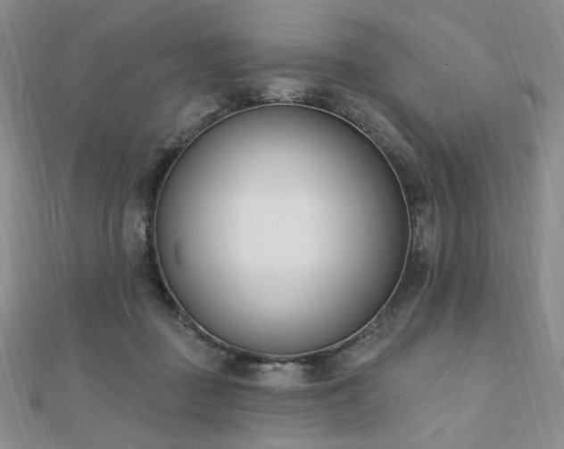 X0000110740363200906151108