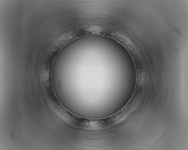 X0000110740365200906151108