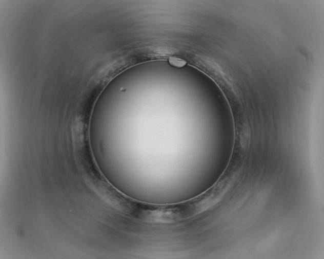 X0000110740366200906151108
