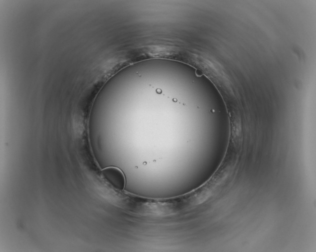 X0000110740367200906151108