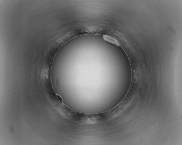 X0000110740368200906151108