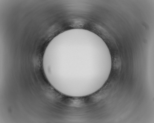 X0000110740370200906151108