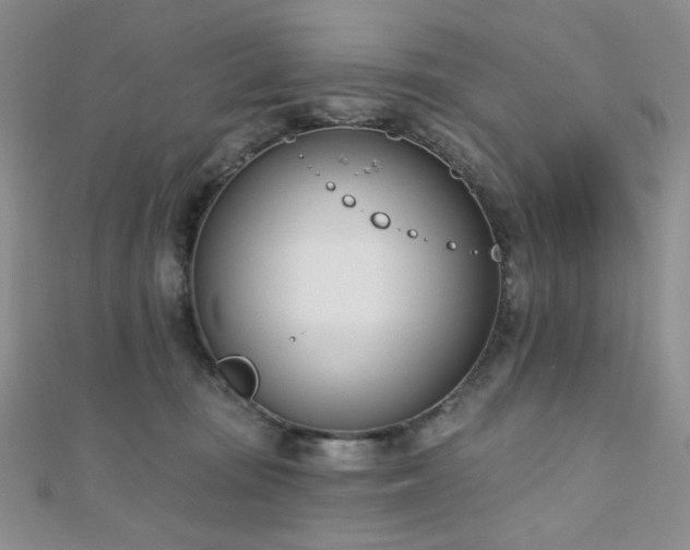 X0000110740371200906151108