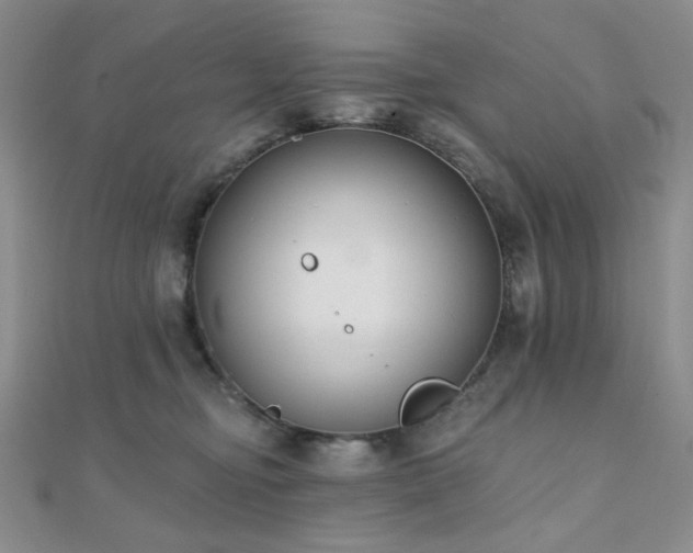 X0000110740374200906151108