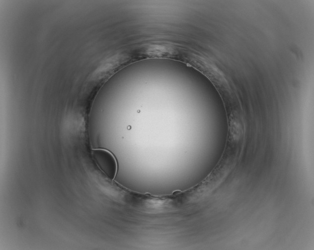 X0000110740375200906151108