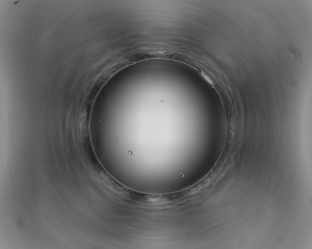 X0000110740376200906151108