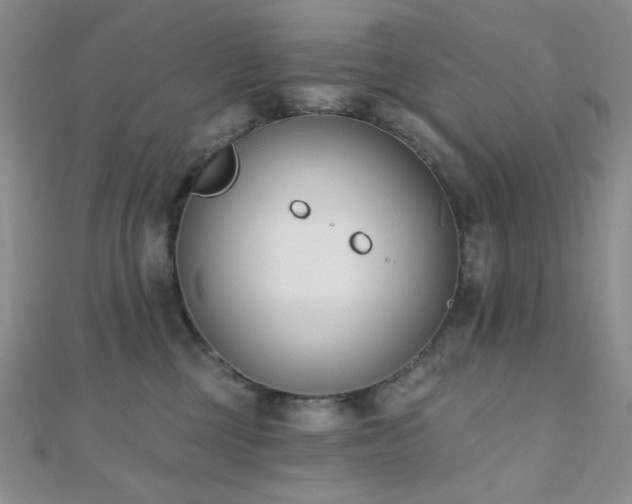 X0000110740377200906151108