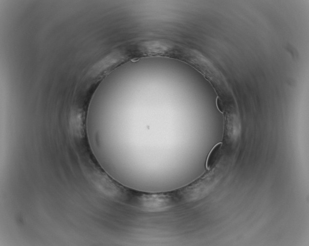 X0000110740378200906151108