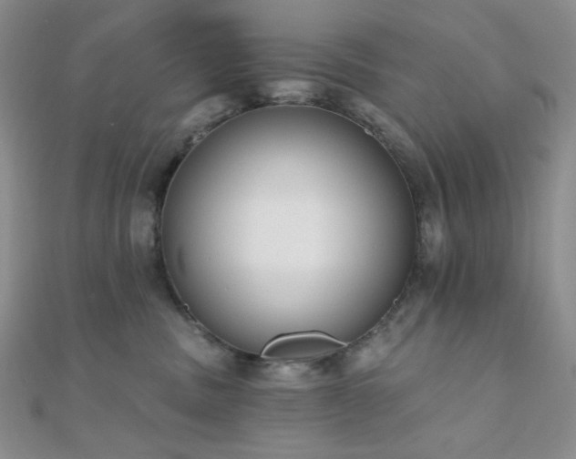 X0000110740379200906151108