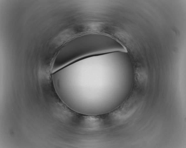 X0000110740380200906151108