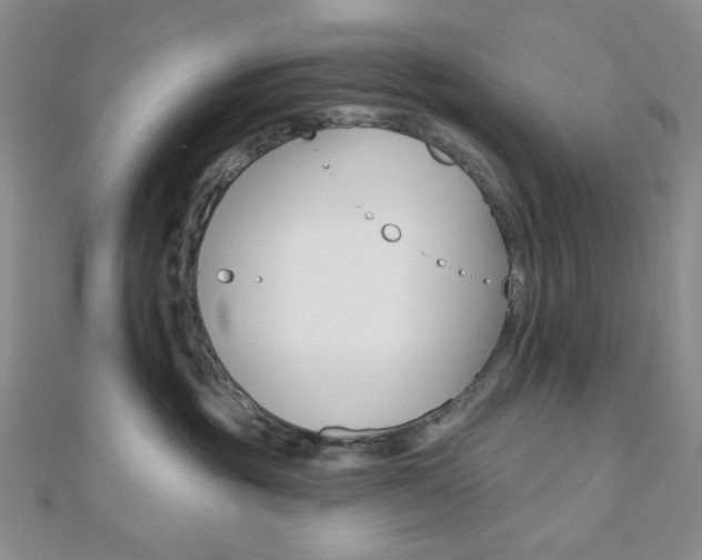 X0000110740381200906151108