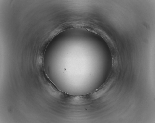 X0000110740382200906151109