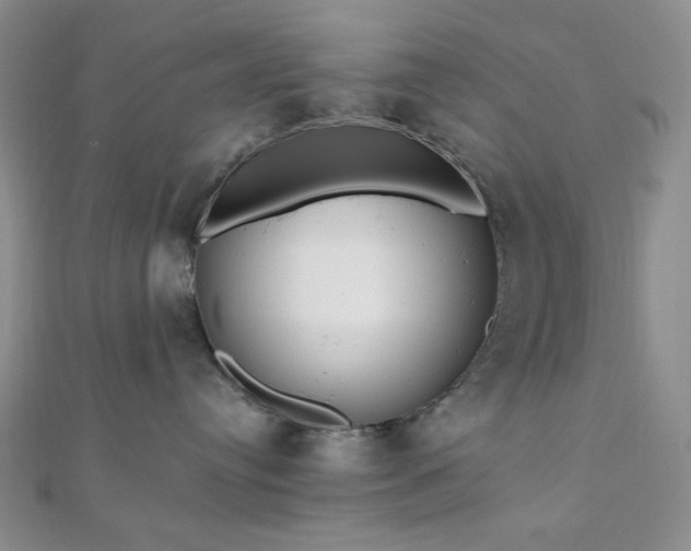 X0000110740384200906151109