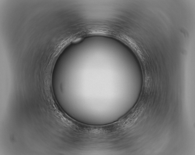 X0000110740385200906151108
