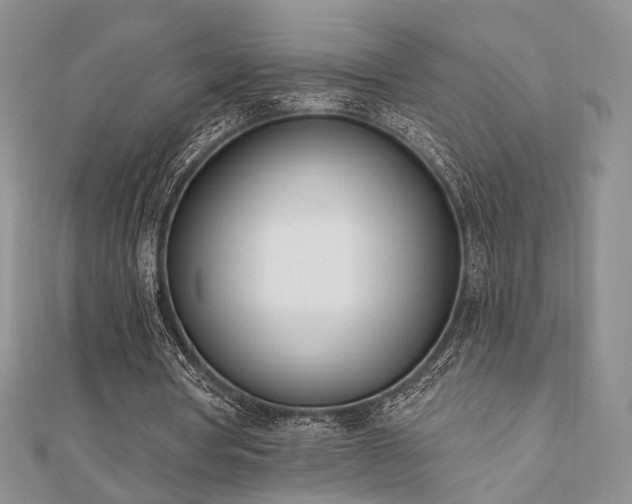 X0000110740386200906151108