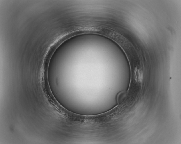 X0000110740388200906151108