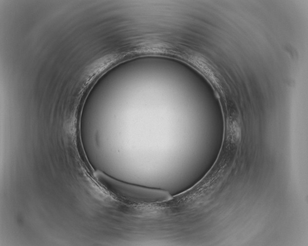 X0000110740389200906151108