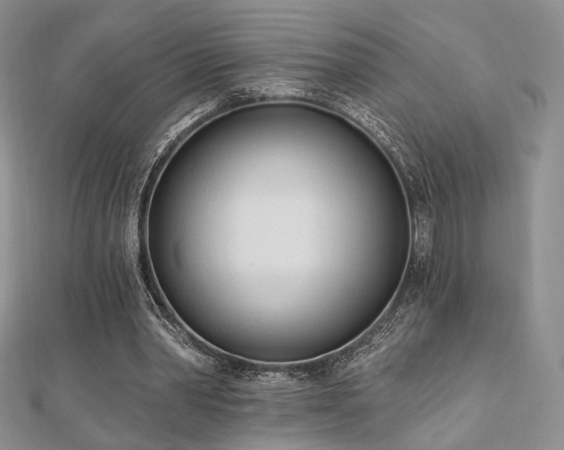 X0000110740390200906151108