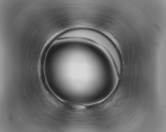 X0000110740391200906151108