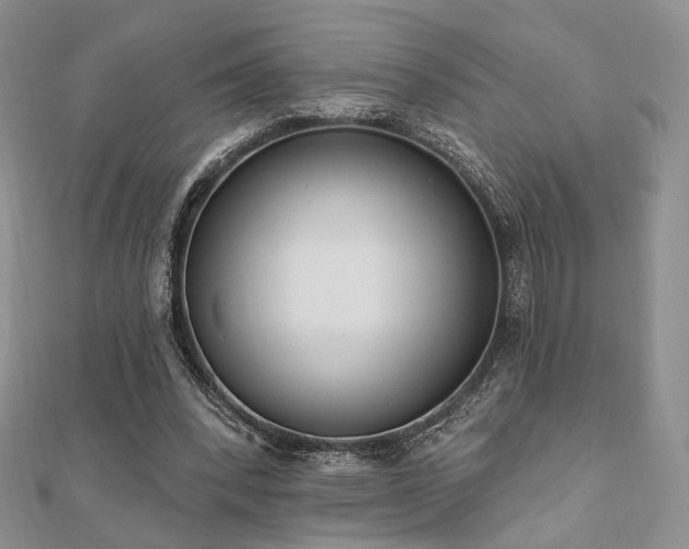 X0000110740392200906151108